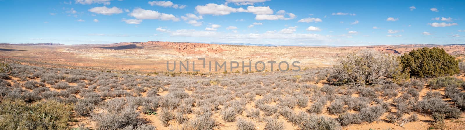 Navajo sandstone Desert Panorama landscape. Typical American beauty in nature. by kb79