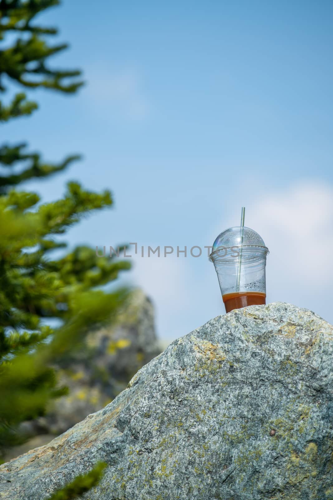 Plastic bottle abandoned on a rock.