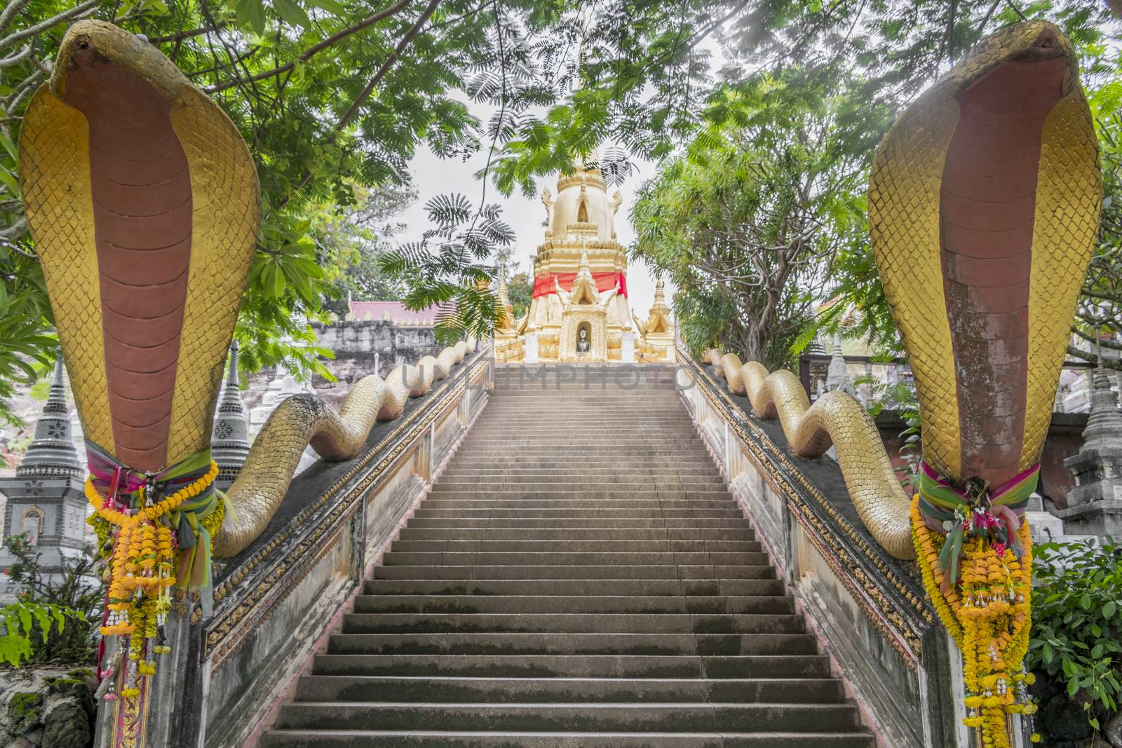 Stairs with snakes, Wat Sila Ngu temple, Koh Samui Thailand. by Arkadij