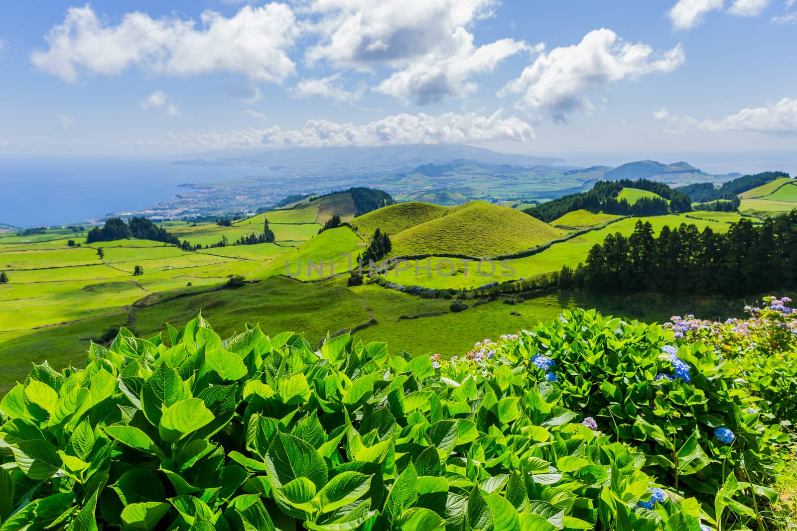 Beautiful landscape in Azores by zittto