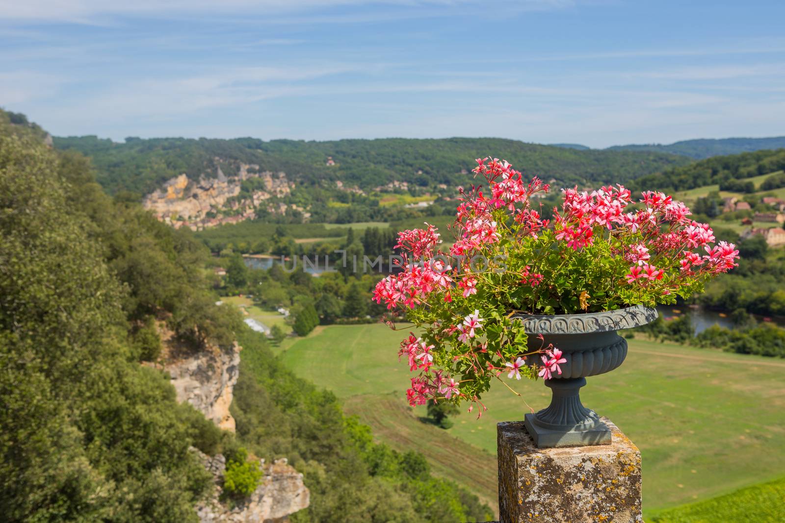 Flowers of Marqueyssac gardens. View to La Roque-Gageac, Dordogne, Countryside french landscape with Dordogne river, fields and hills. Travel destination