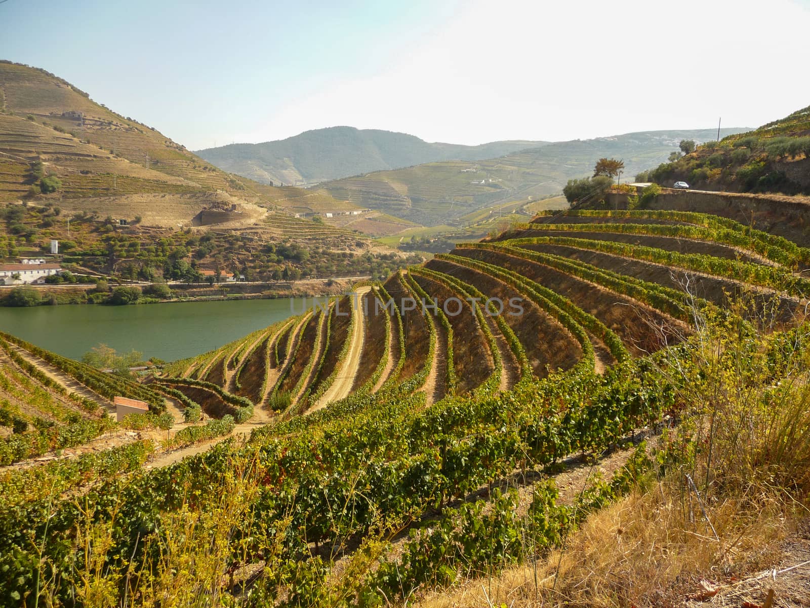 Douro Valey in Portugal with winery and vineyards landscape by kb79