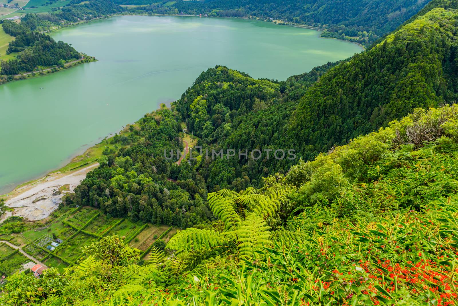 View of the Lake Furnas (Lagoa das Furnas) on Sao Miguel Island, Azores, Portugal from the Pico do Ferro scenic viewpoint. Tranquil scene of lush foliage and lake in a volcanic crater