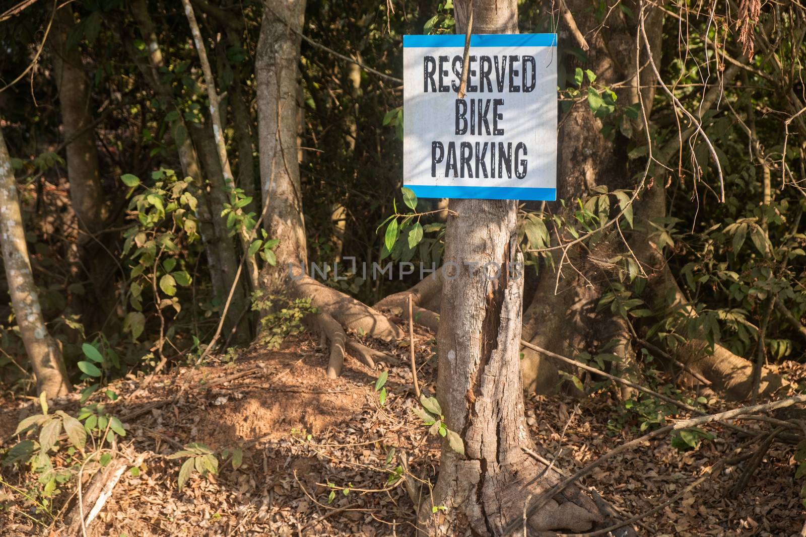 Close-Up Of Bicycle Parking Sign by snep_photo