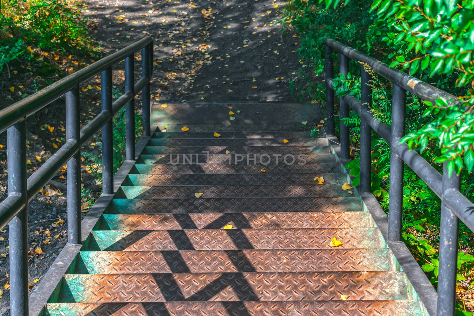 Descending an old and rusty iron staircase to an autumn park with still green leaves on the trees