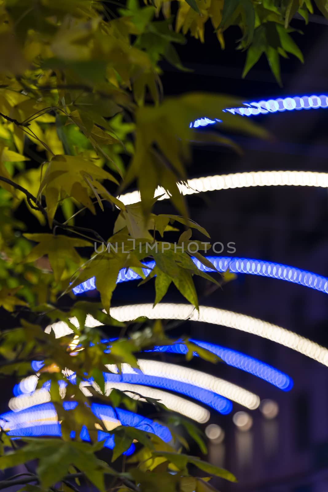 Christmas decorations in the city with light strips and projections