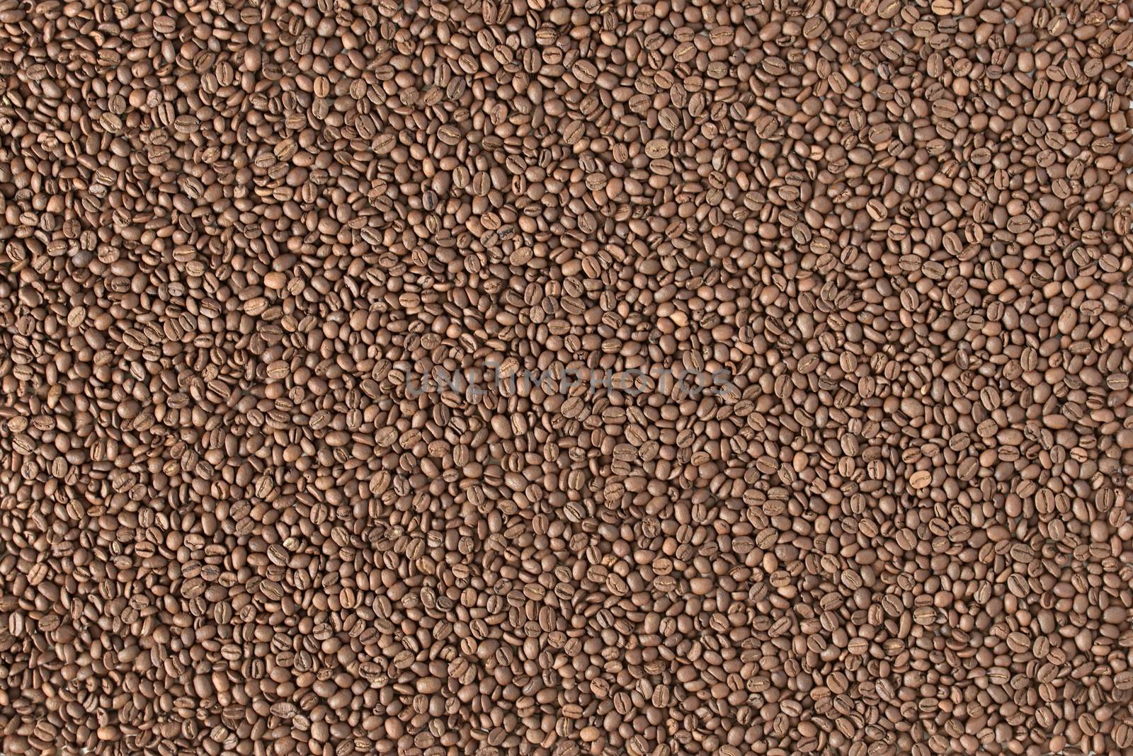 top view of coffee beans by Visual-Content