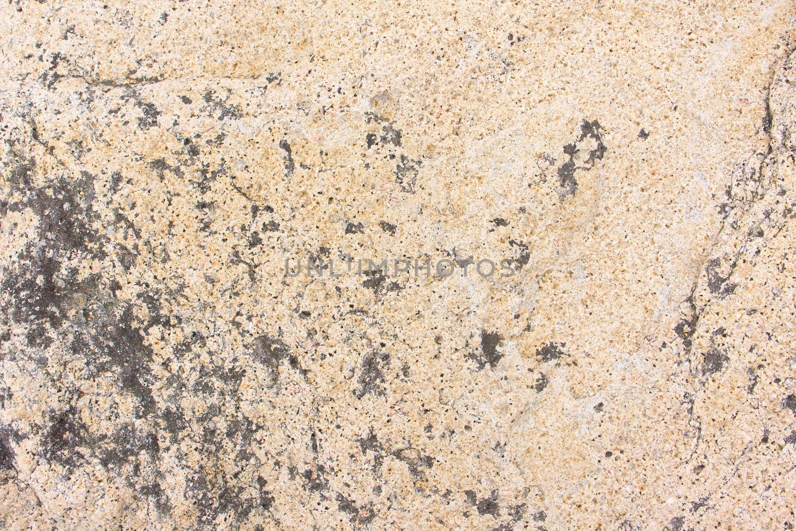 texture of the stone surface by Visual-Content