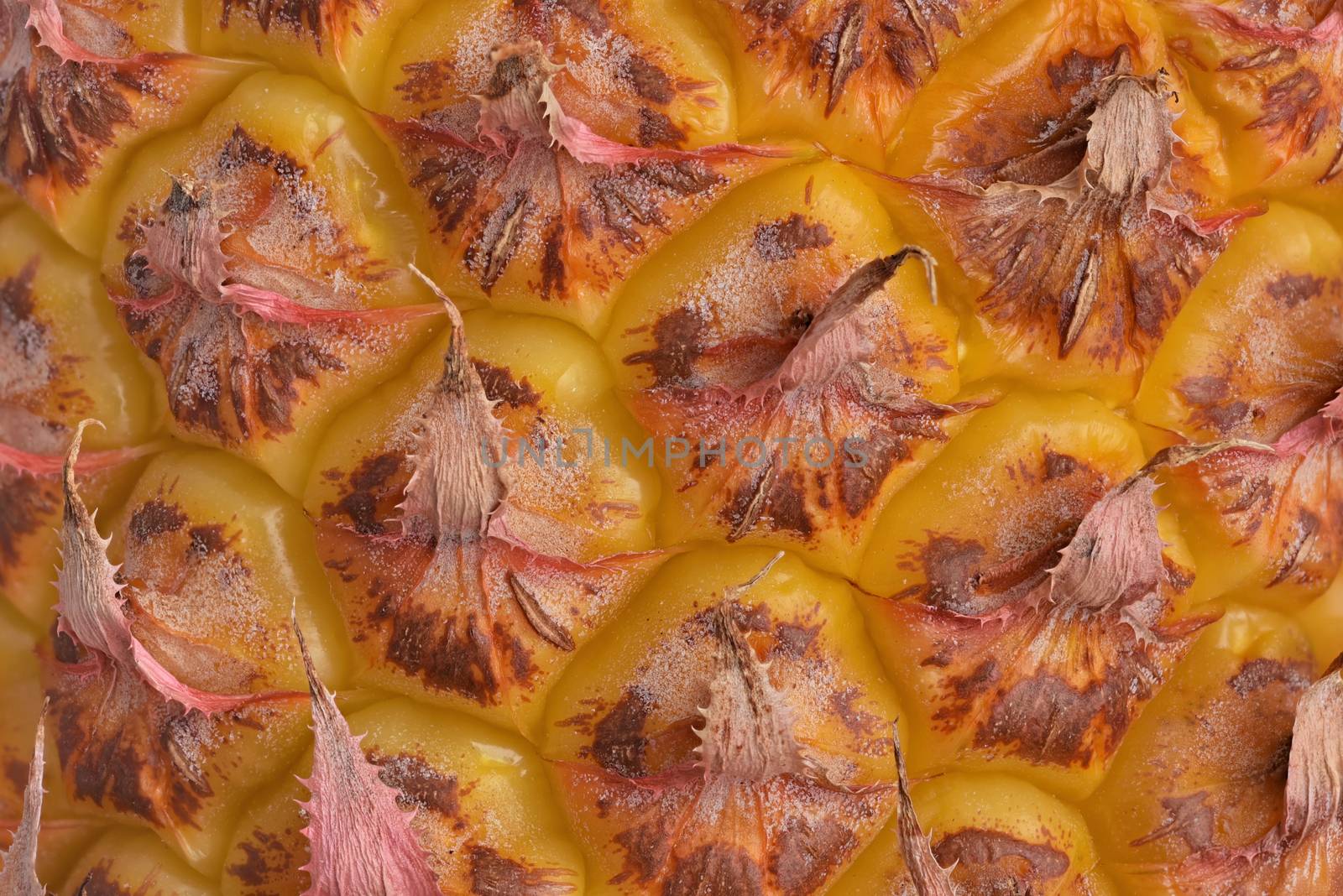 Texture Pineapple closeup by Visual-Content