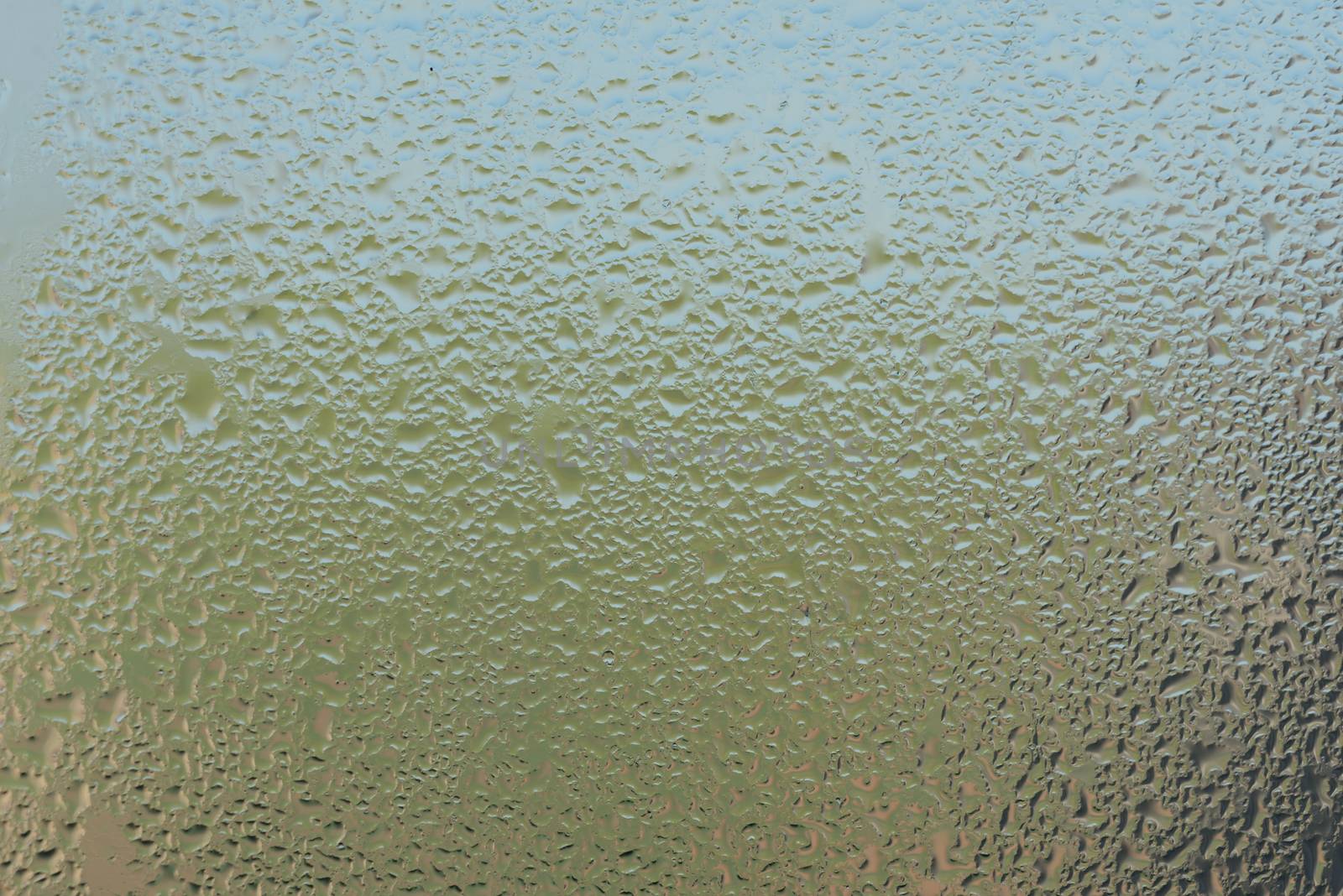 Water drops on glass window. Wet window glass