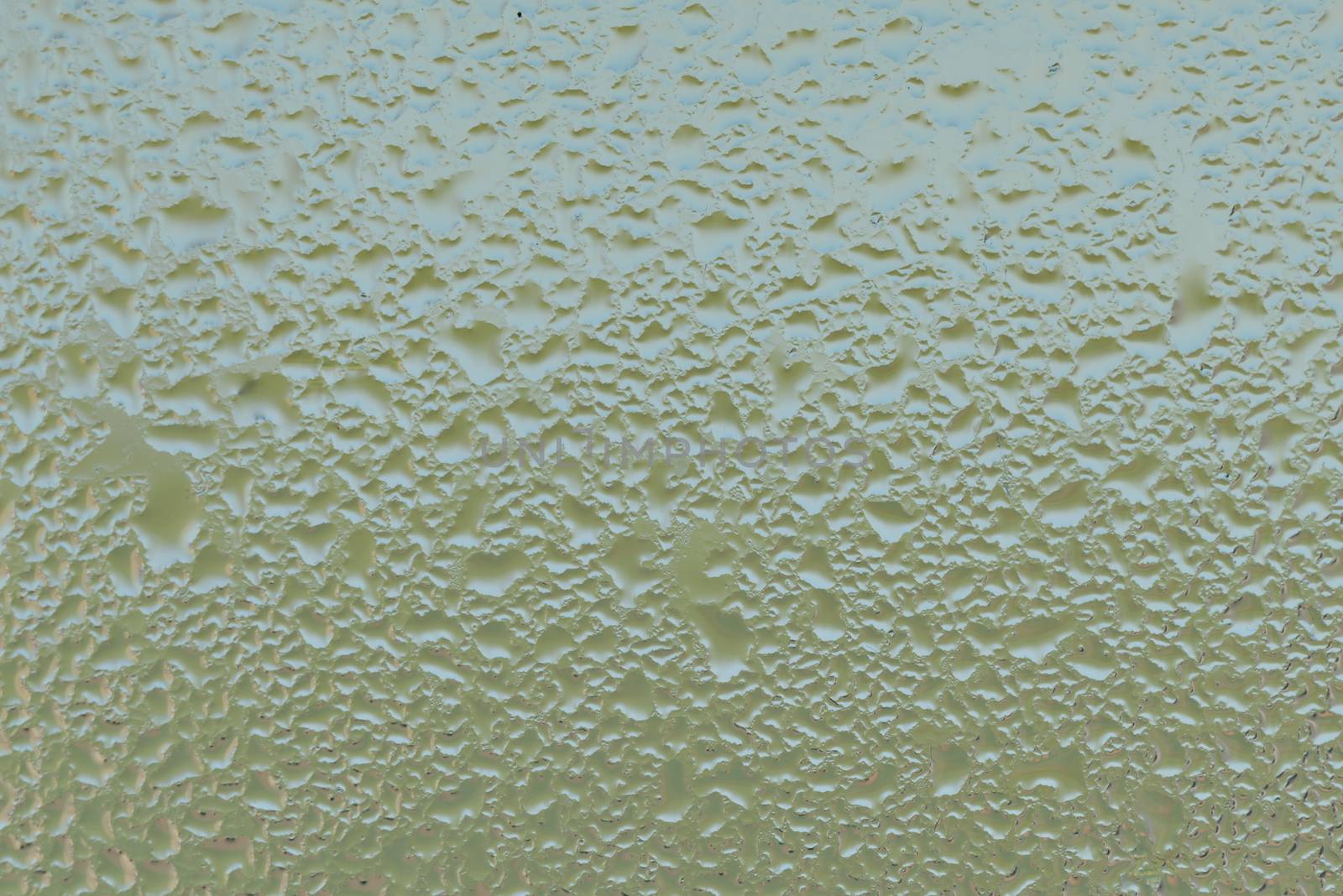 Water drops on glass window. Wet window glass