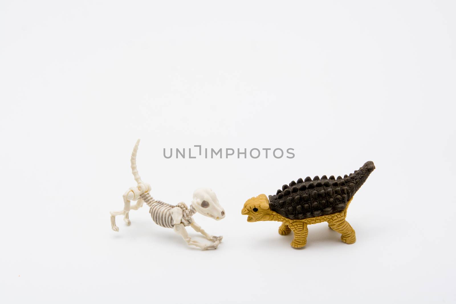 Skeleton dog and Ankylosaurus, friend relationship
