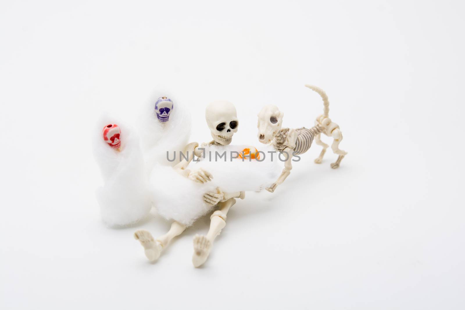 Skeleton mother with her children and a skeleton dog  by yuiyuize