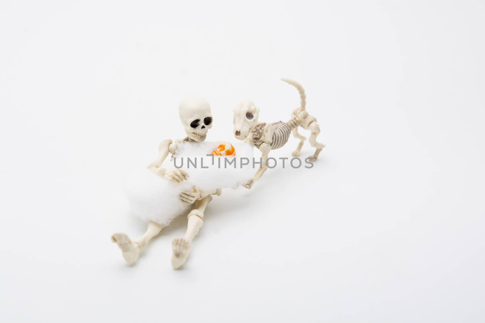 Skeleton mother with her children and a skeleton dog  by yuiyuize