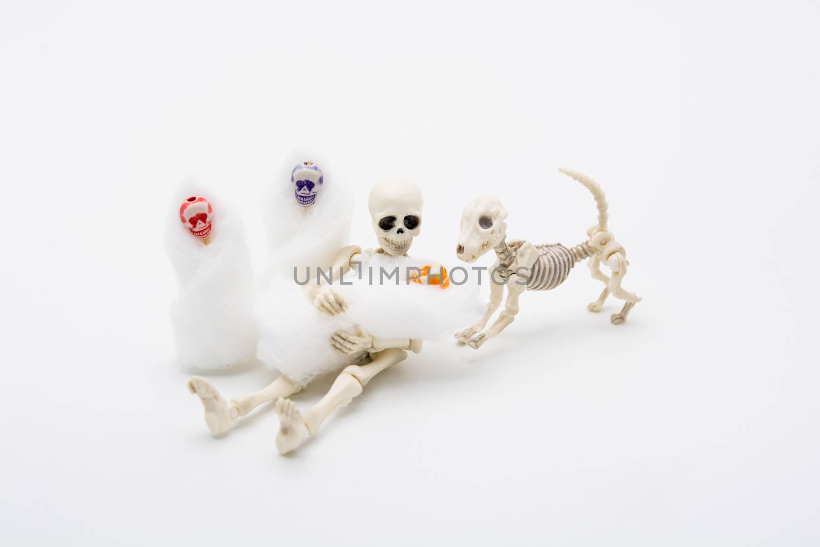 Skeleton mother with her children and a skeleton dog, happy moment for baby born.