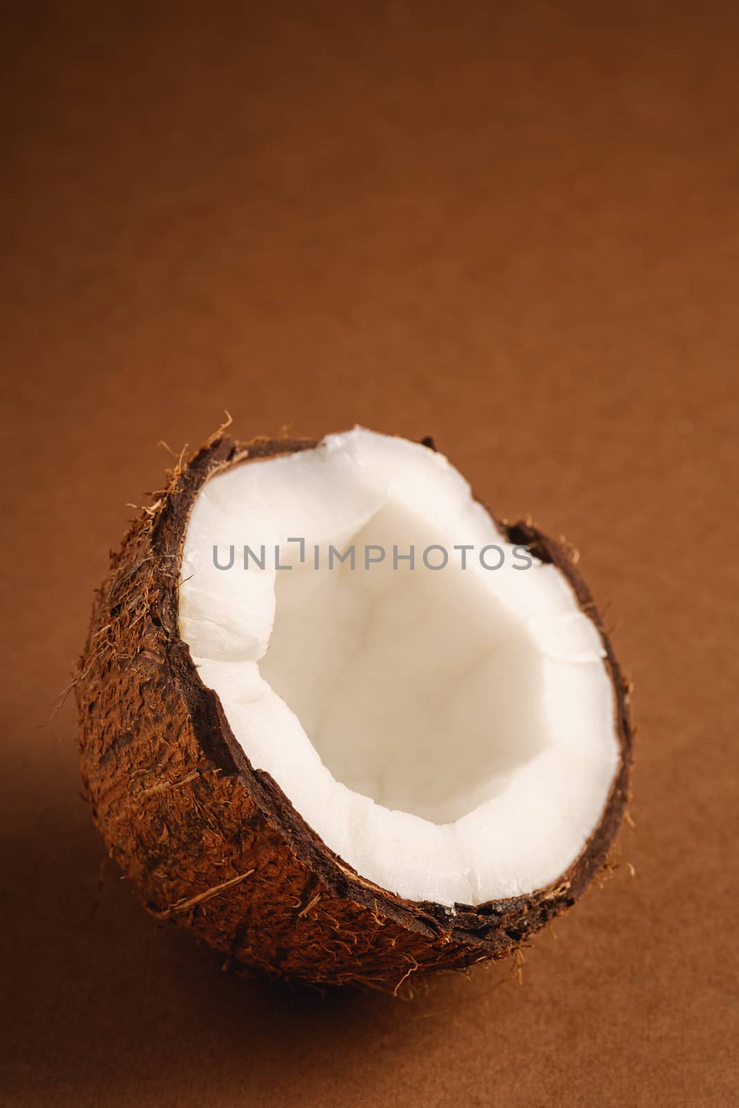 Single coconut fruit on brown plain background, abstract food tropical concept, angle view macro