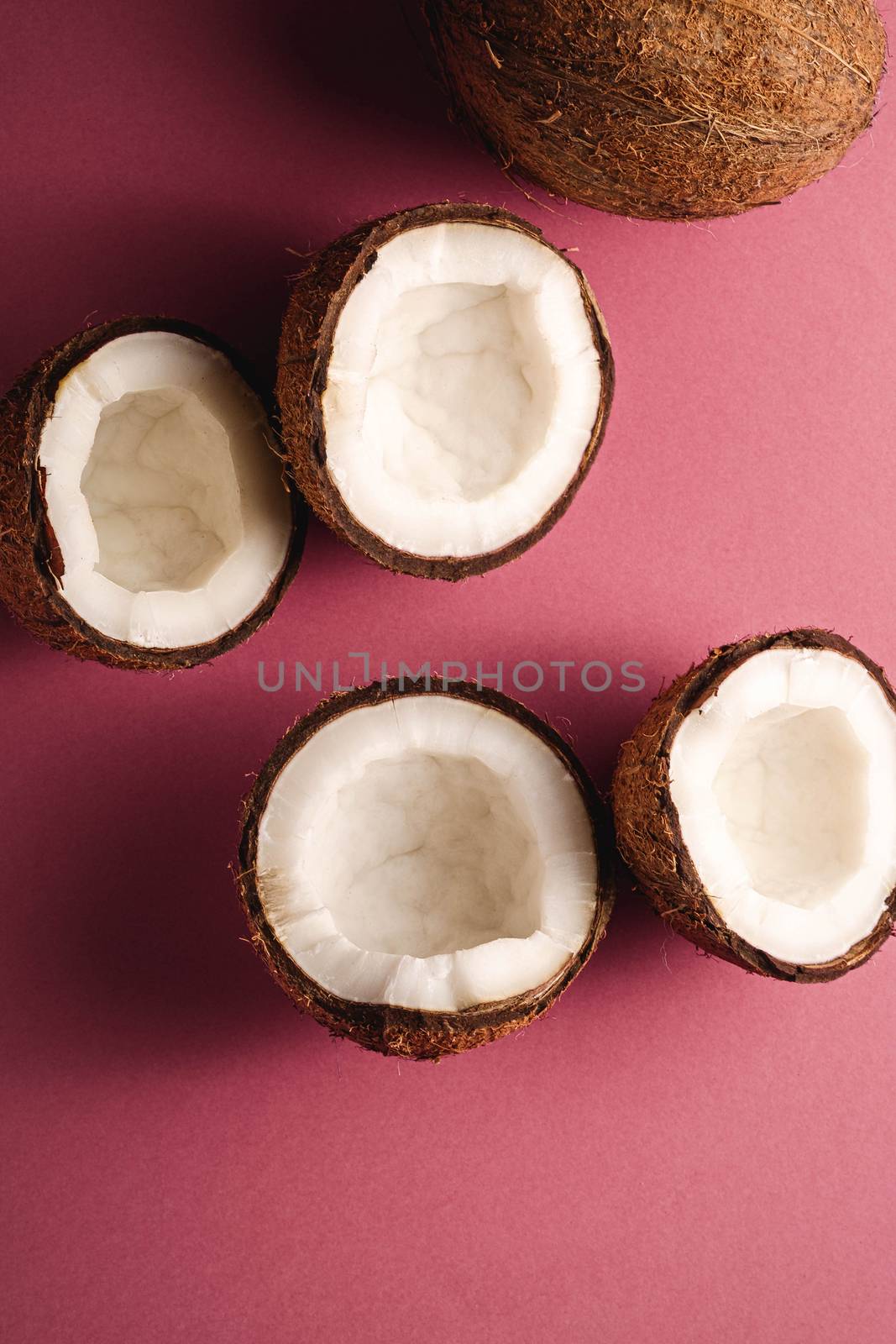 Coconut fruits on pink purple vibrant plain background, abstract food tropical concept, top view