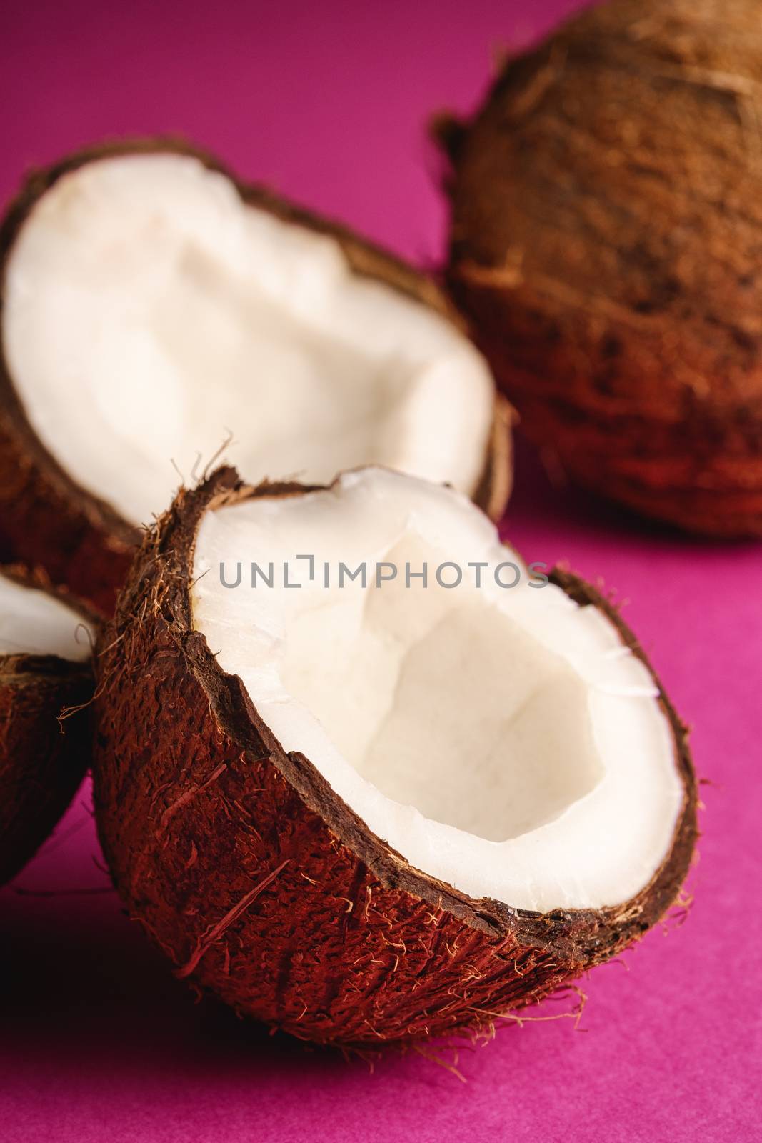Coconut fruits on pink purple vibrant plain background, abstract food tropical concept, angle view macro