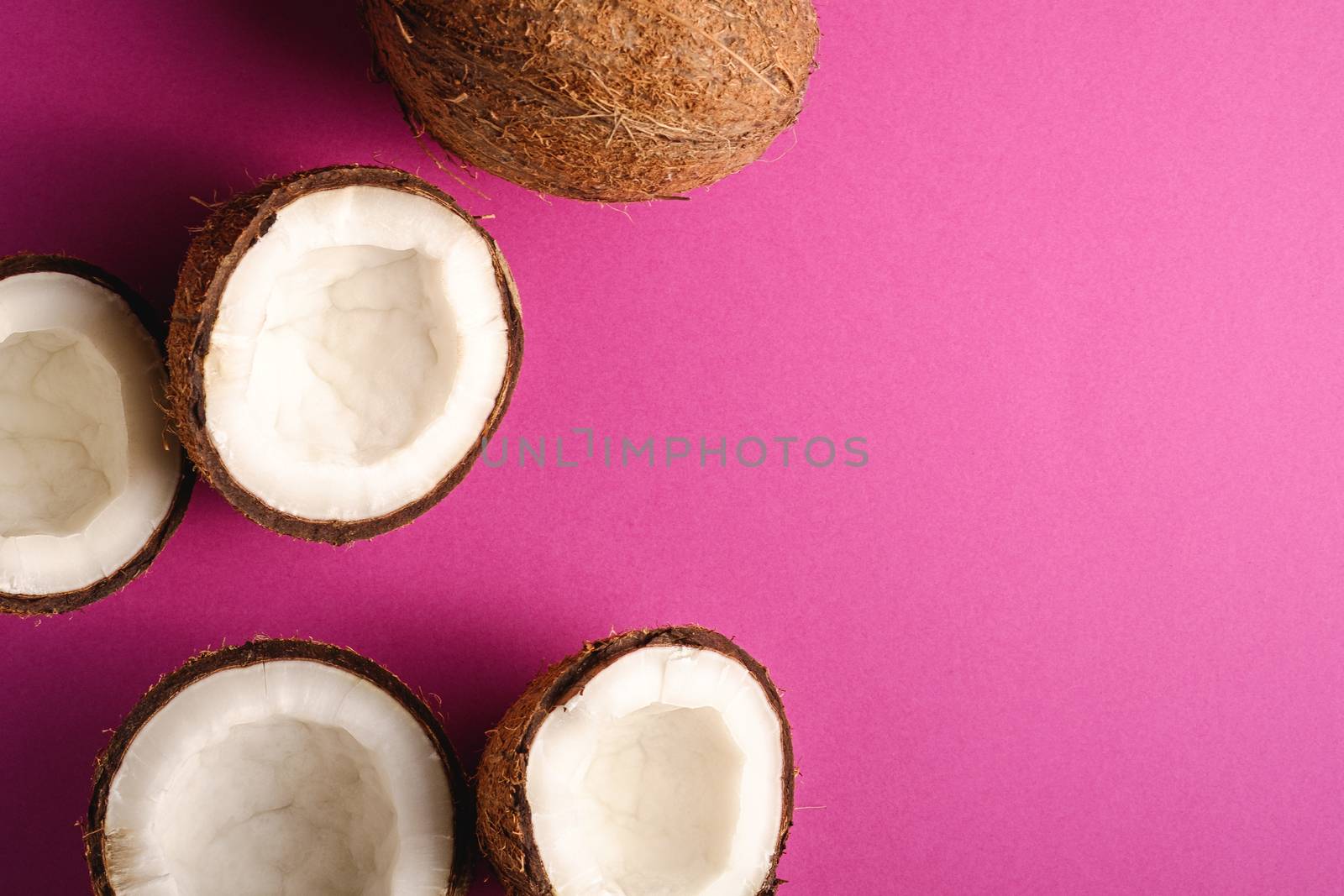 Coconut fruits on pink purple vibrant plain background, abstract food tropical concept, top view copy space