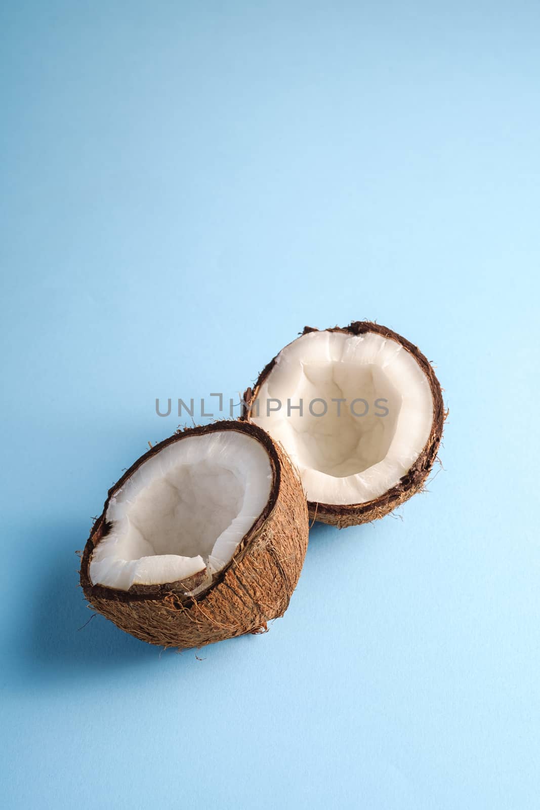 Coconut fruits on blue vibrant plain background, abstract food tropical concept, angle view copy space