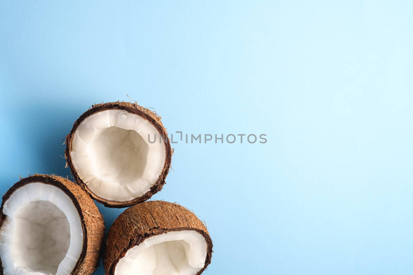 Coconut fruits on blue vibrant plain background, abstract food tropical concept, top view copy space