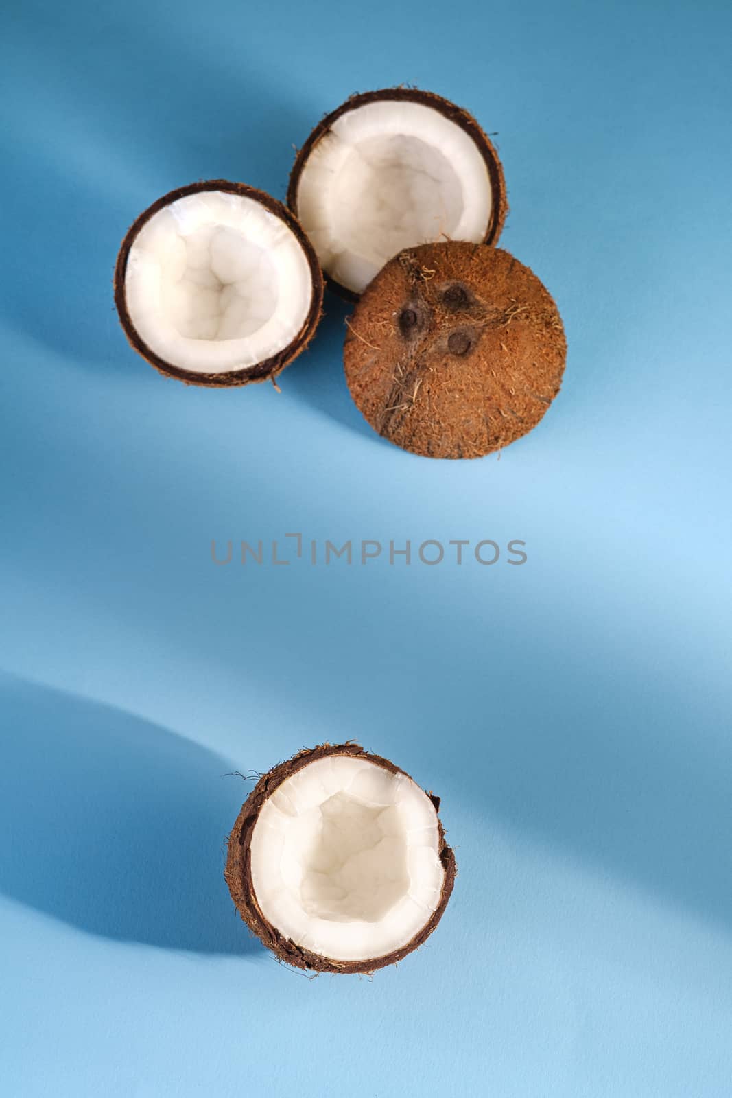 Coconut fruits on blue vibrant plain background, abstract food tropical concept, angle view copy space