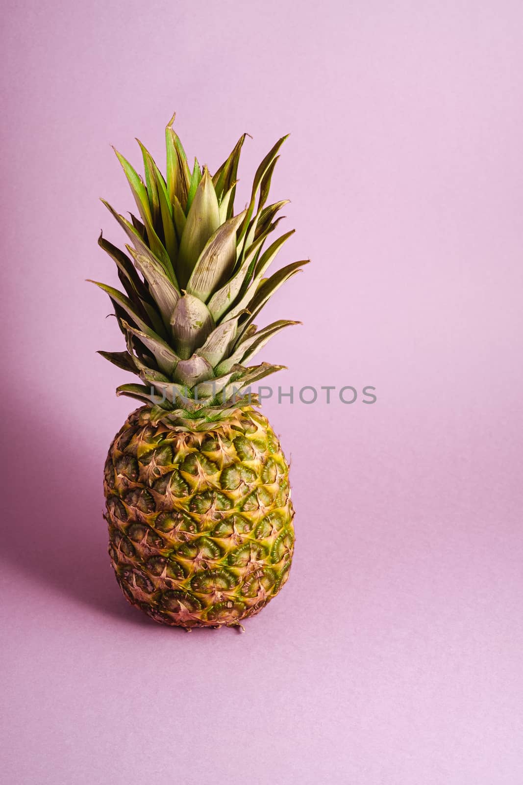 Fresh sweet pineapple on pastel blue purple background, angle view copy space