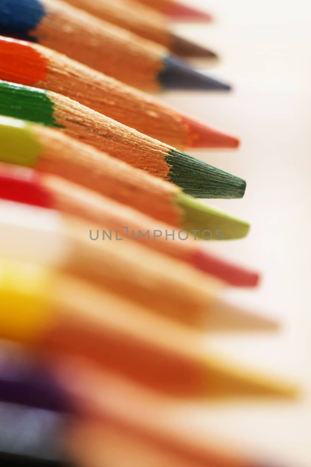 Different colored pencils on a white background ,macro photo , vertical composition ,