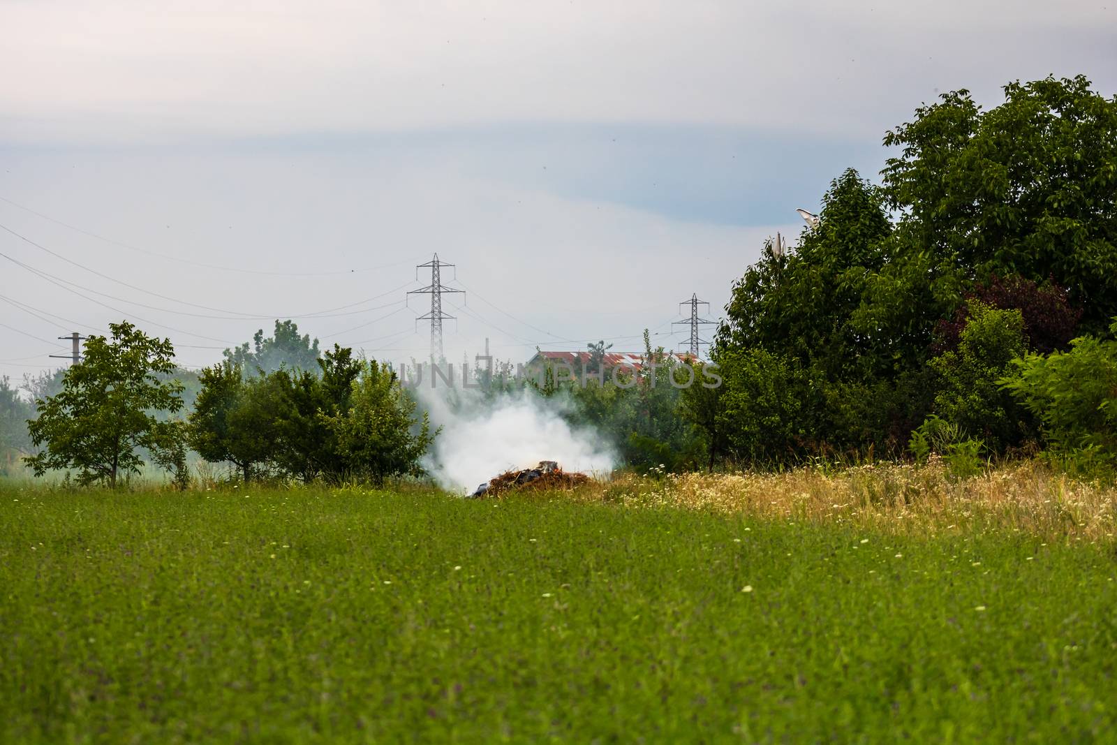 Fire and smoke in the agricultural field.