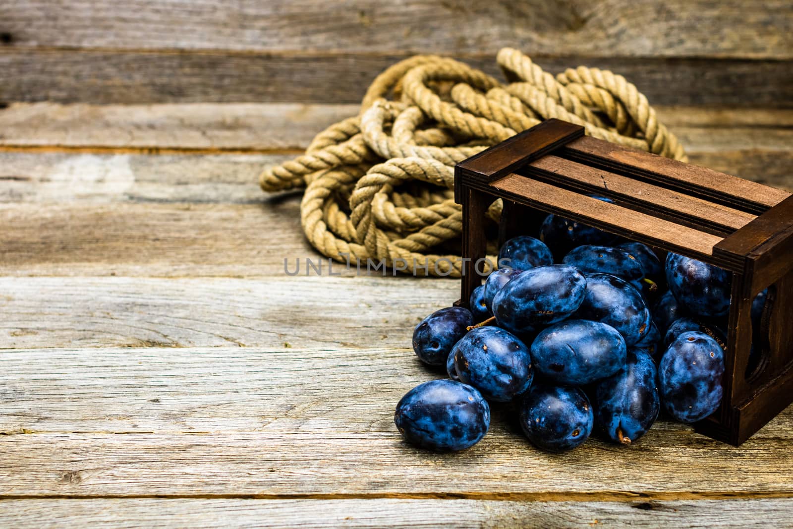 Ripe blue plums in a wooden crate in a rustic composition.