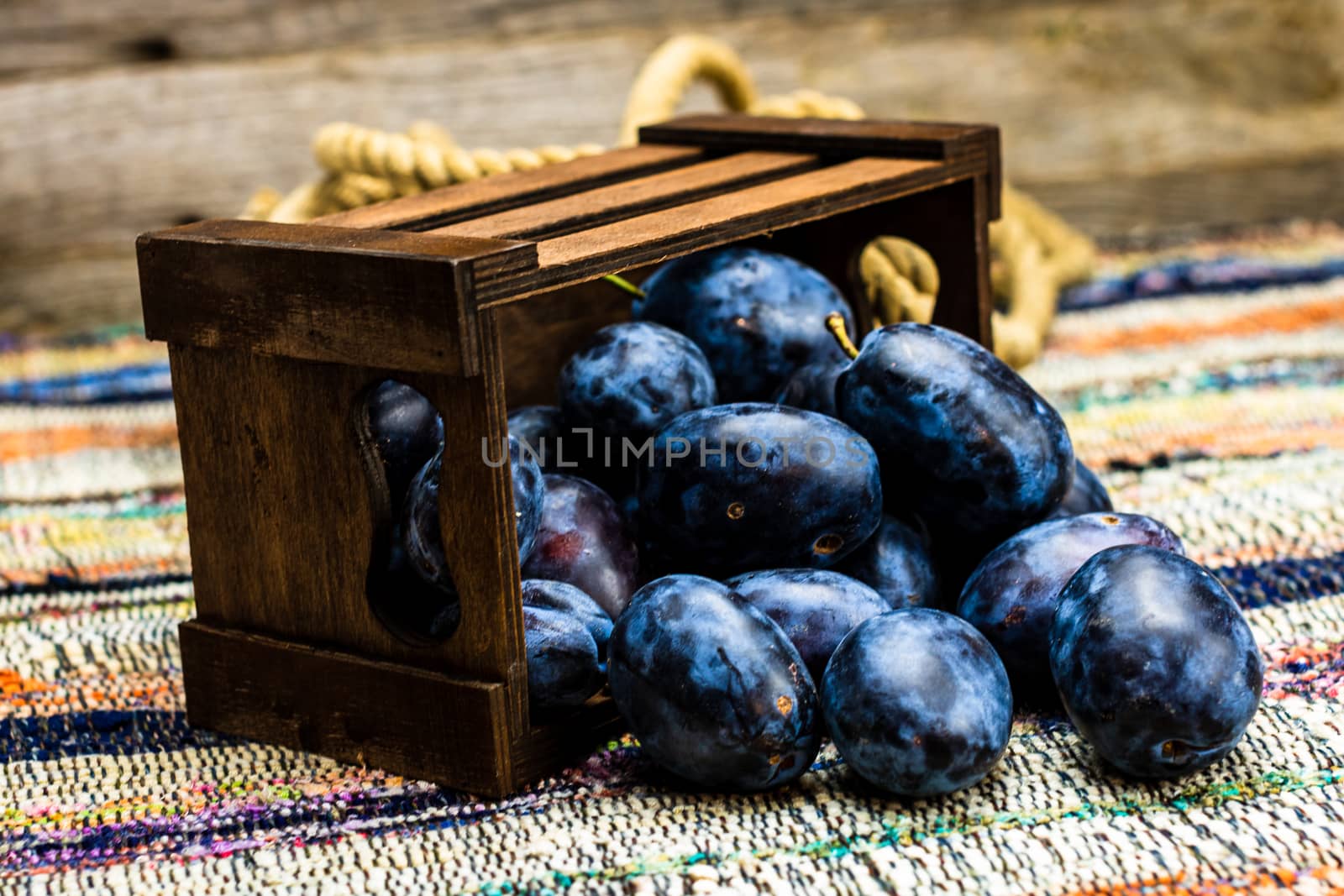 Ripe blue plums in a wooden crate in a rustic composition.