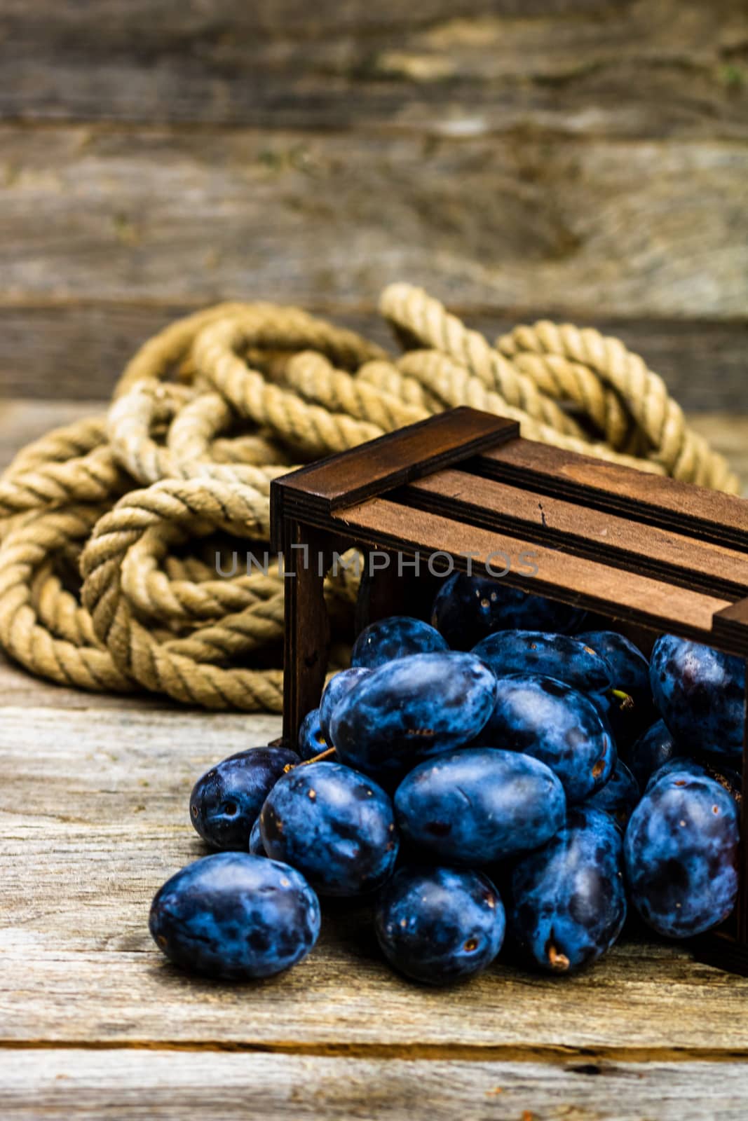 Ripe blue plums in a wooden crate in a rustic composition.