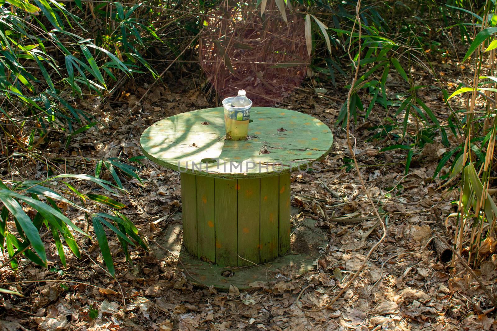 A Large Wooden Spool in a Clearing in a Forest Used as a Table