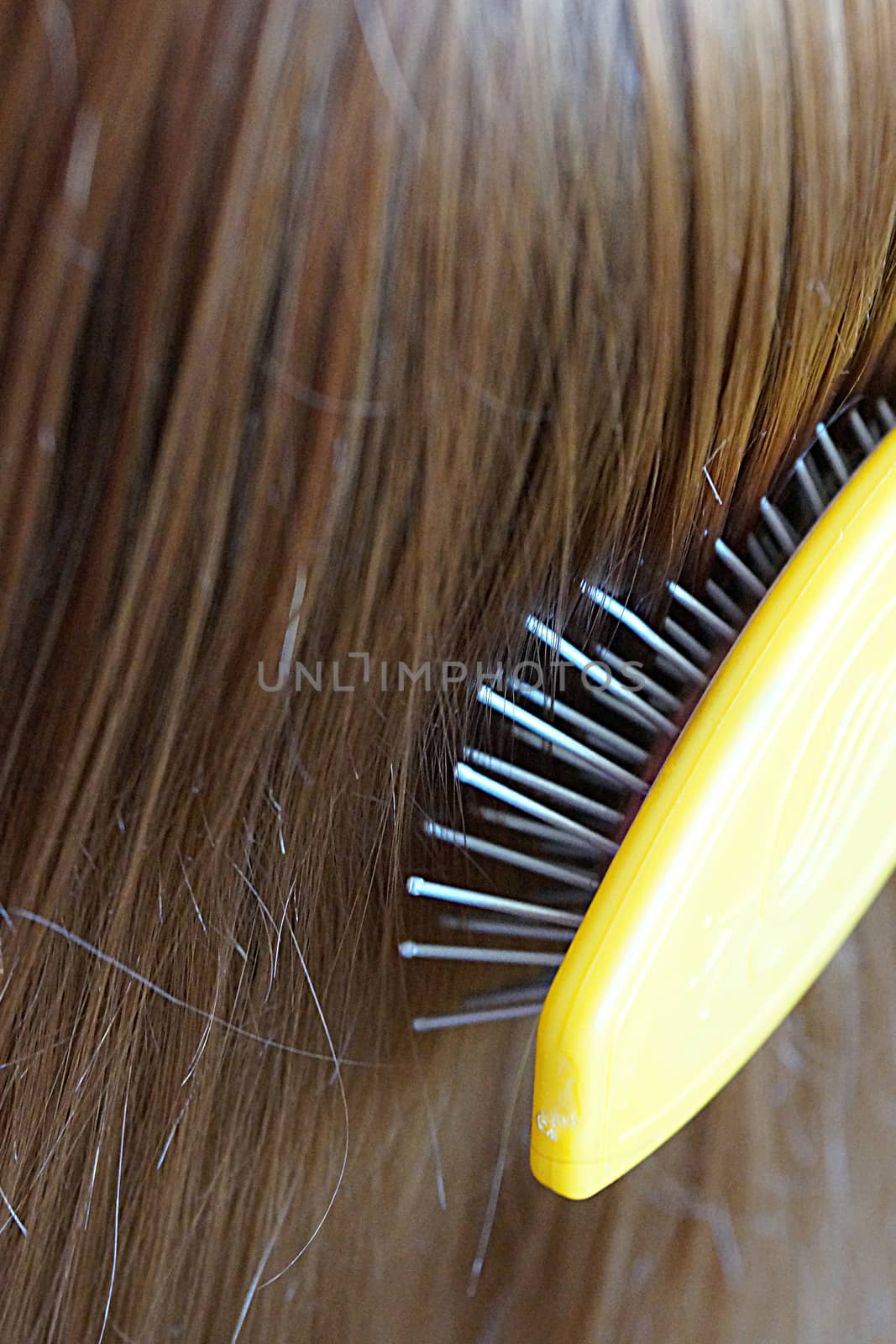woman combing red hair, close up rear view by Annado