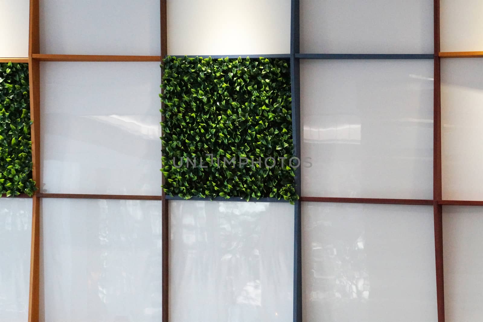 wall made of artificial green plants and organic glass , artificial landscaping in the interior. by Annado