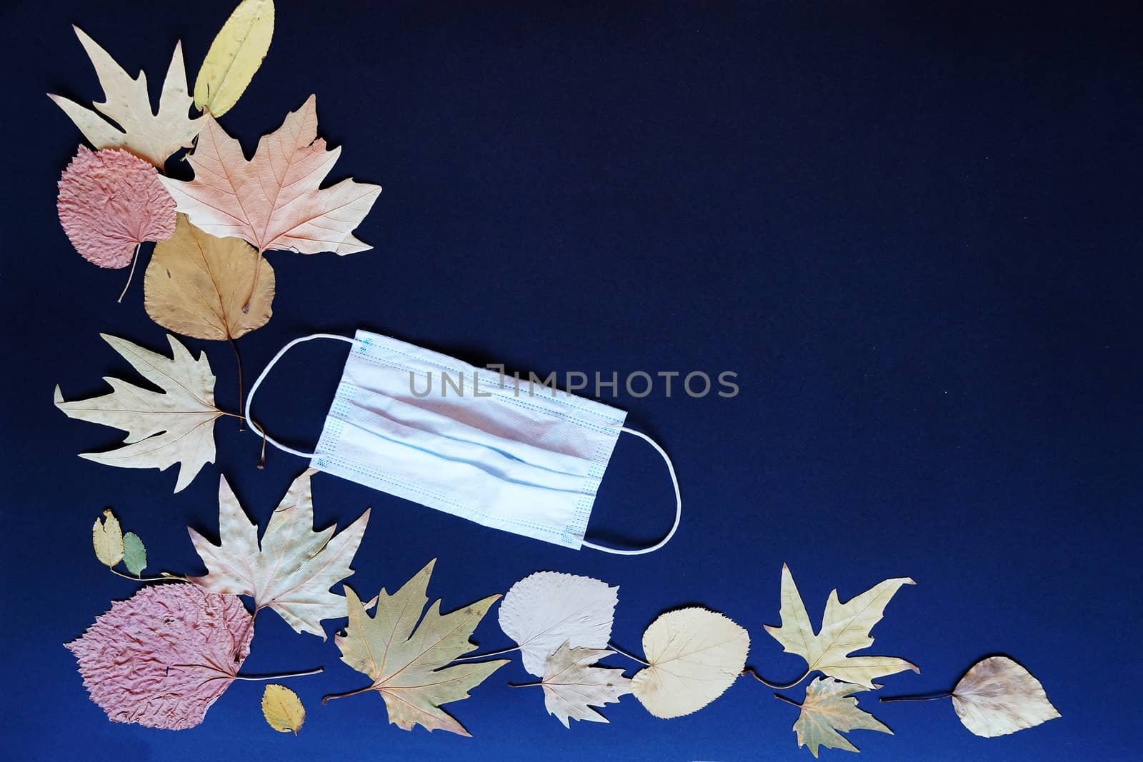 autumn leaves and medical mask on blue background text back to school by Annado