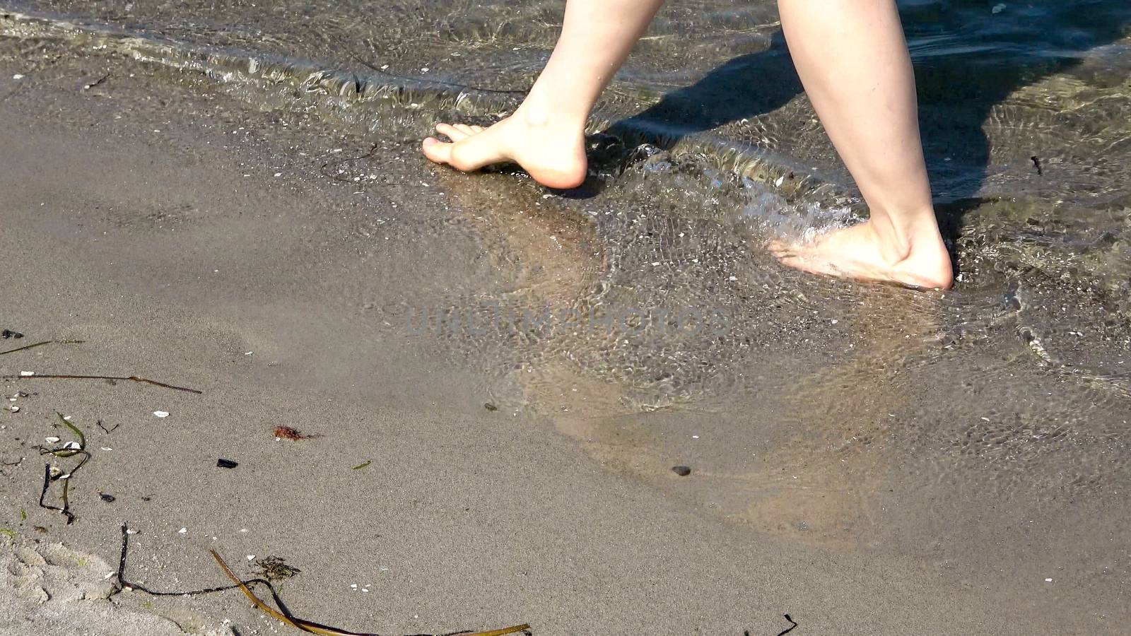 Young female feet walking in the shallow water at a baltic sea b by MP_foto71