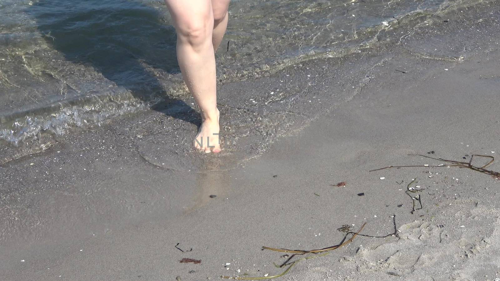 Young female feet walking in the shallow water at a baltic sea b by MP_foto71