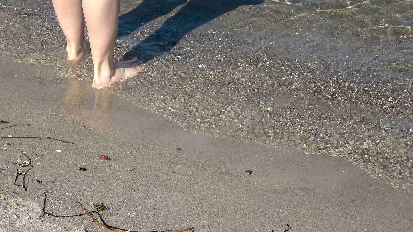 Young female feet walking in the shallow water at a baltic sea beach