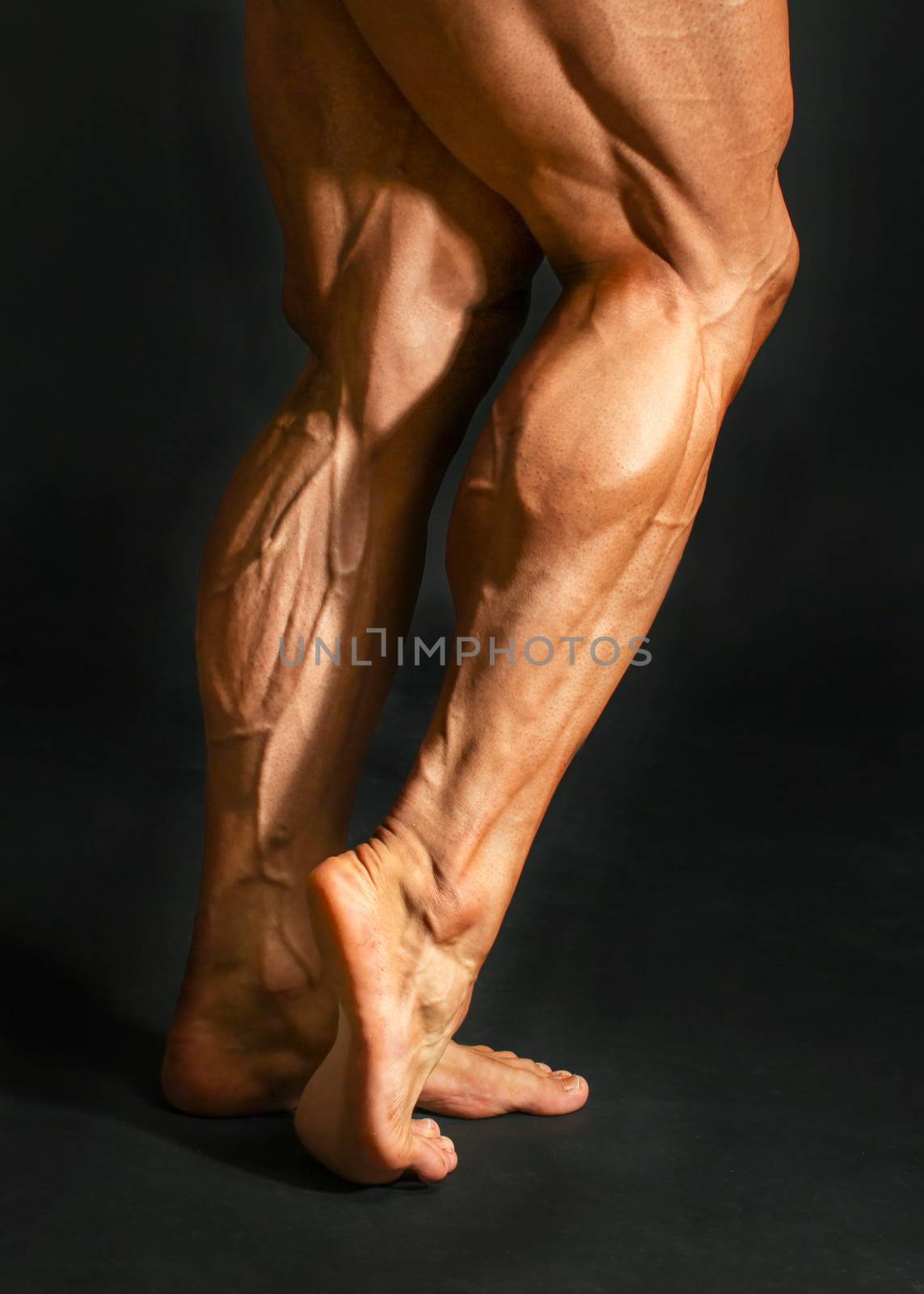 Detail of male bodybuilder back leg calf muscles on black background. Gastrocnemius and soleus.