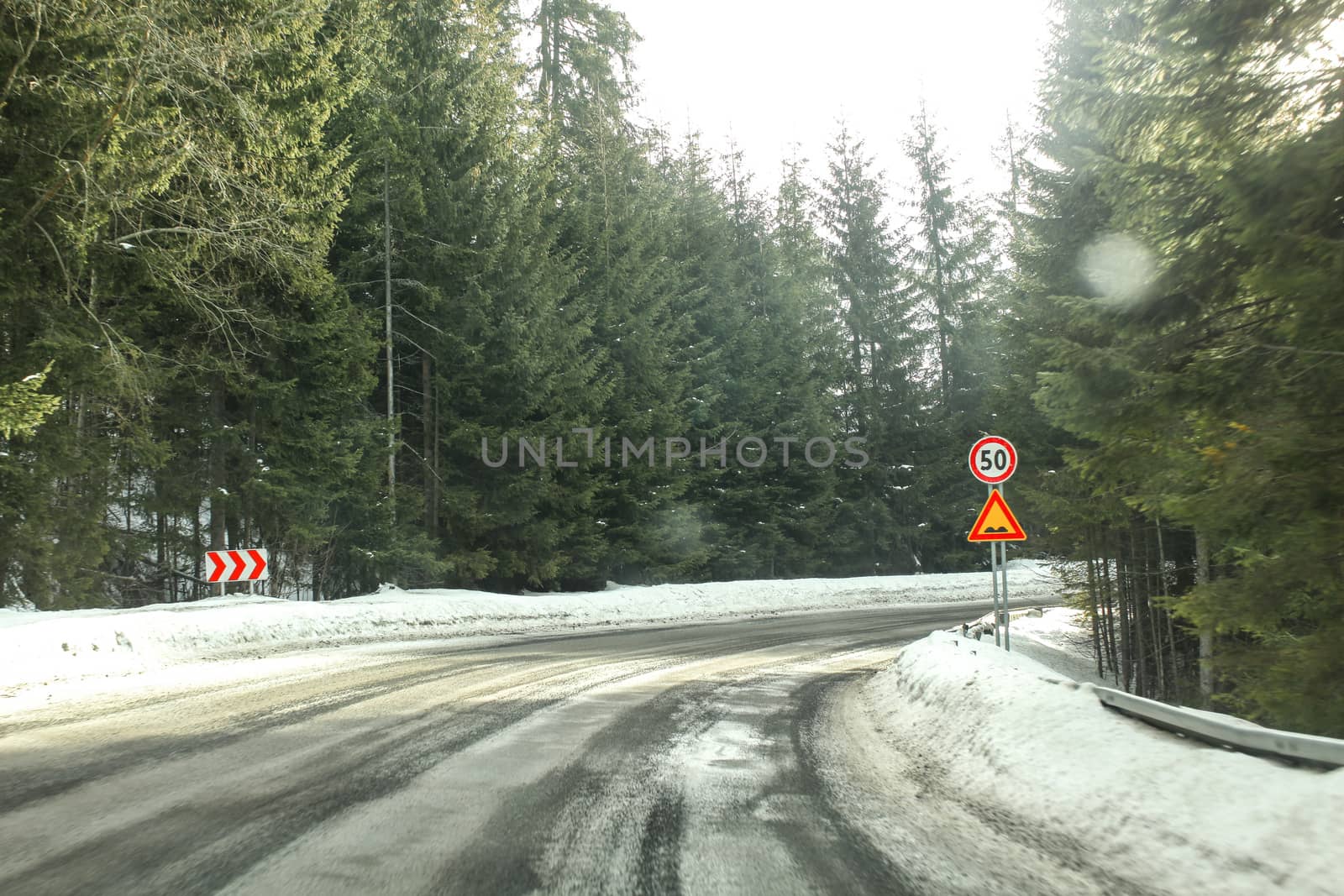 Driver view on sharp road curve, partially covered with snow in coniferous forest, with strong blinding sun light. Speed limit 50 and bumps sign to illustrate dangerous driving conditions in winter.