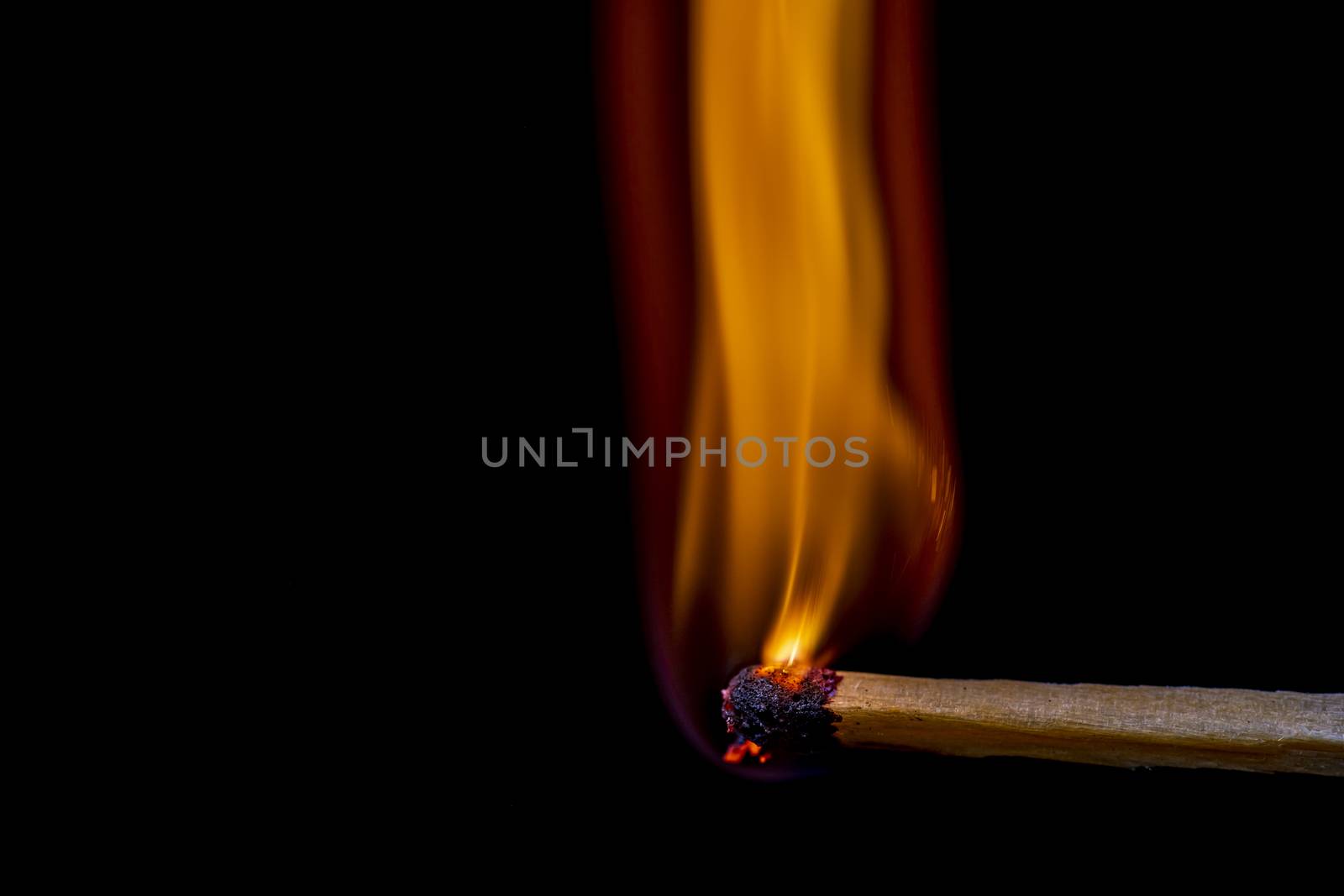 Match burning after being lit showing flame against black background.
