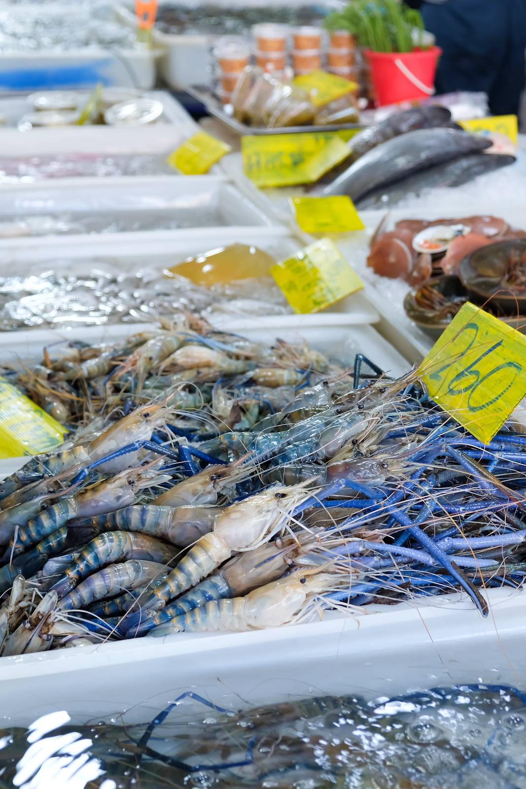 Fresh river shrimp in seafood market by ponsulak