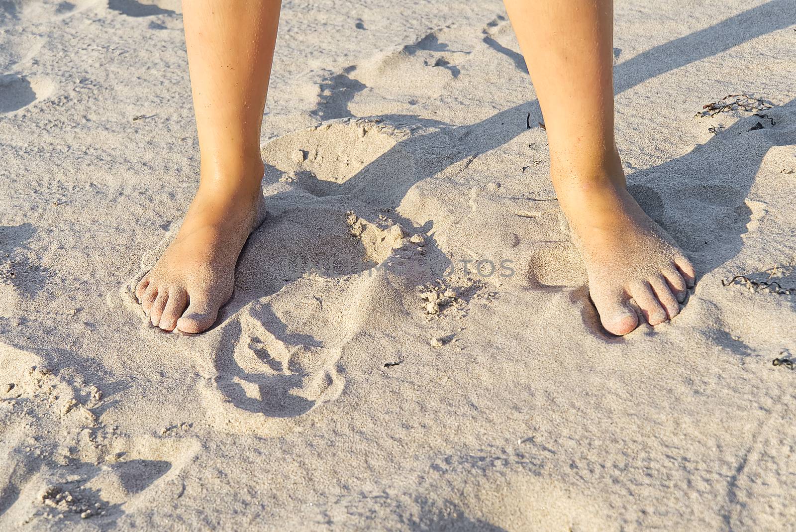 Close-up of children legs on sand beach. Young girl legs on baltic sea beach. Teenager legs in sand. by PhotoTime