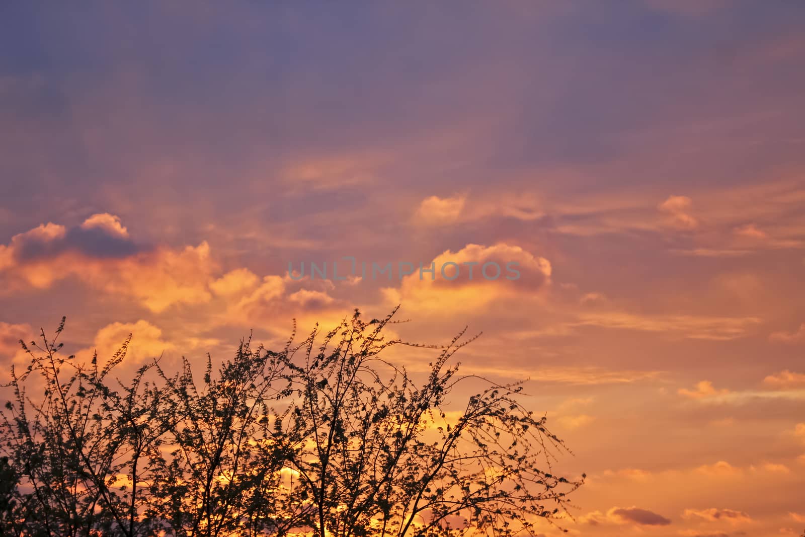 Incredible beautiful cloud formations and colors in the sky, sunset behind trees.