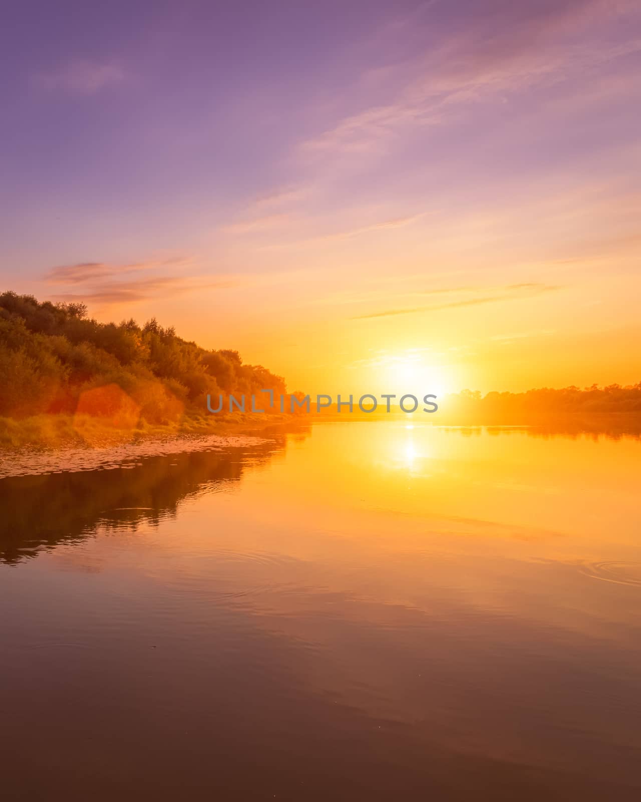 Sunset or dawn on a river with a cloudy sky and sun rays reflected in the water, water lilies and trees growing along the shore. Landscape.