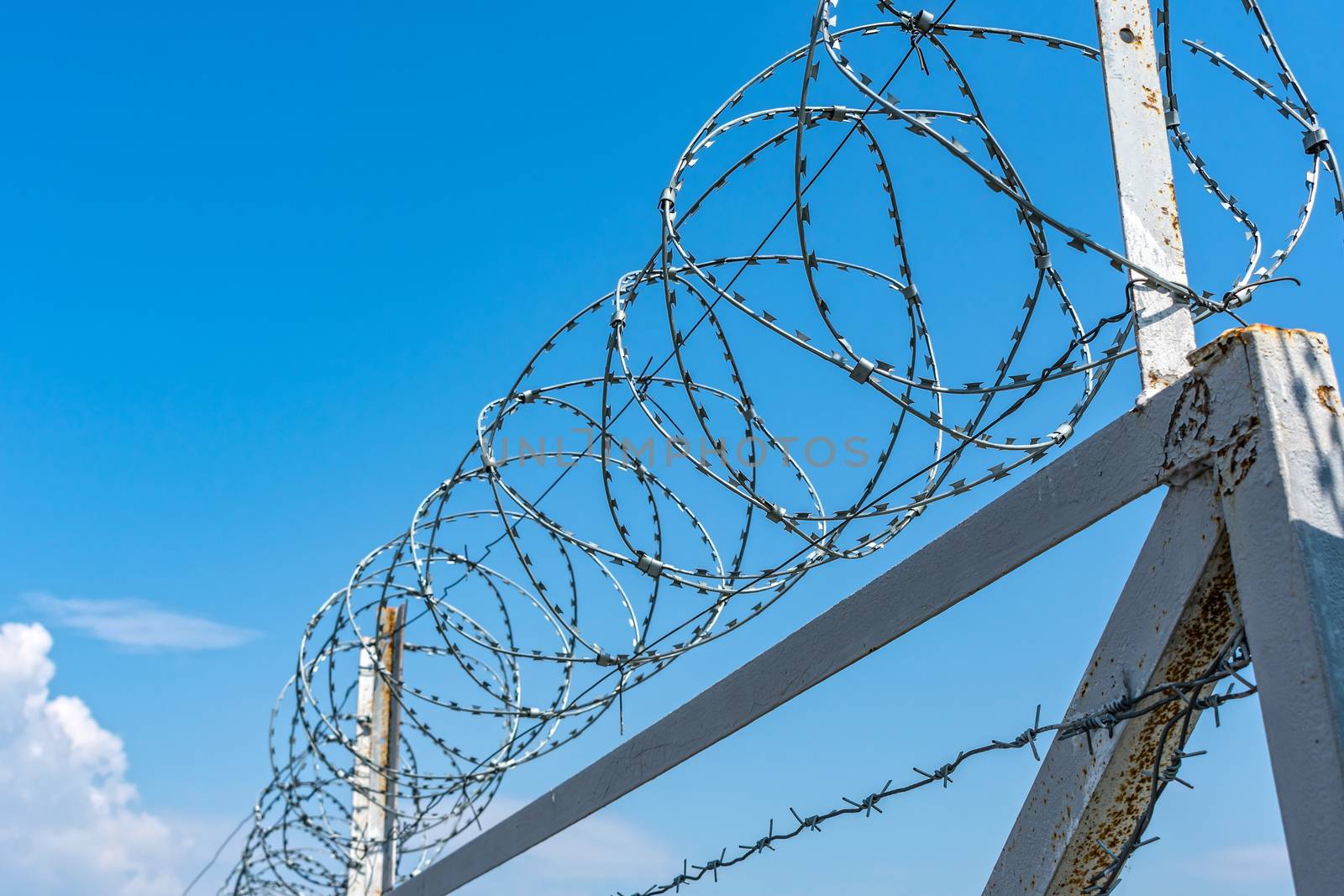 Live barbed wire fence to protect against entry into restricted areas