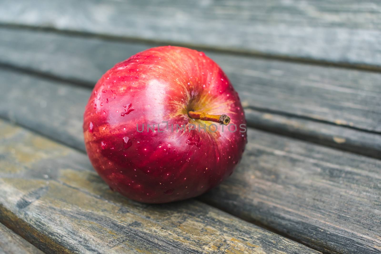 A ripe red apple lies on a bench with raindrops on its skin. Sweet and juicy fruits