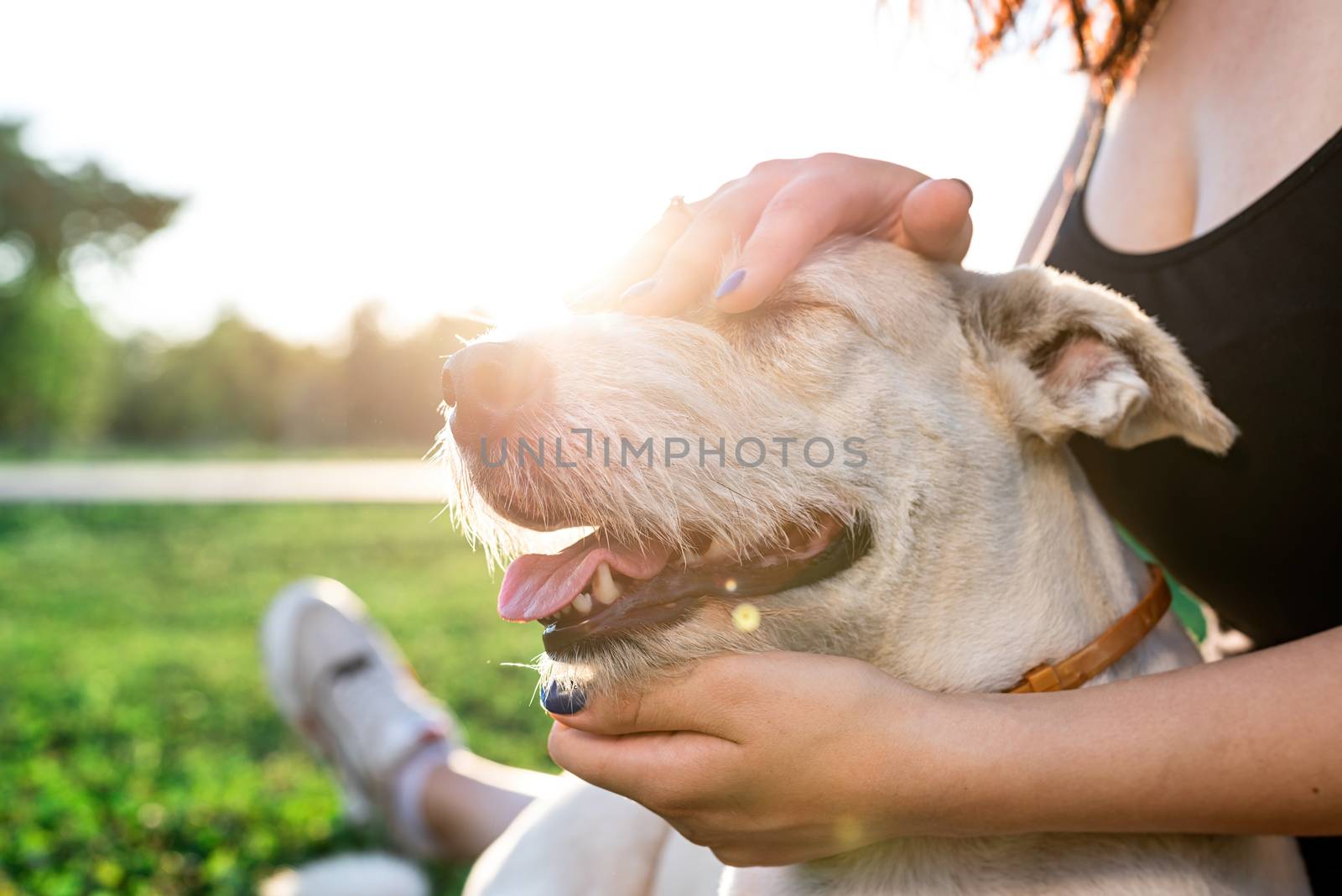 young attractive woman hugging her dog in the park by Desperada