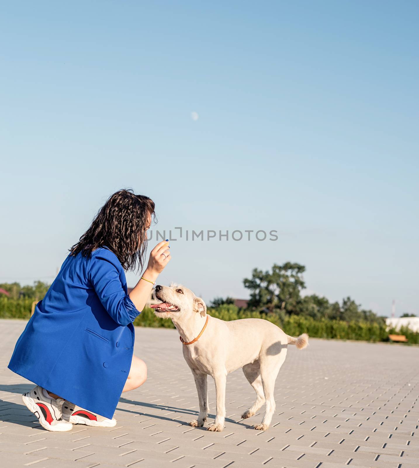 Pet care. Pet adoption. Young woman playing with her dog in the park